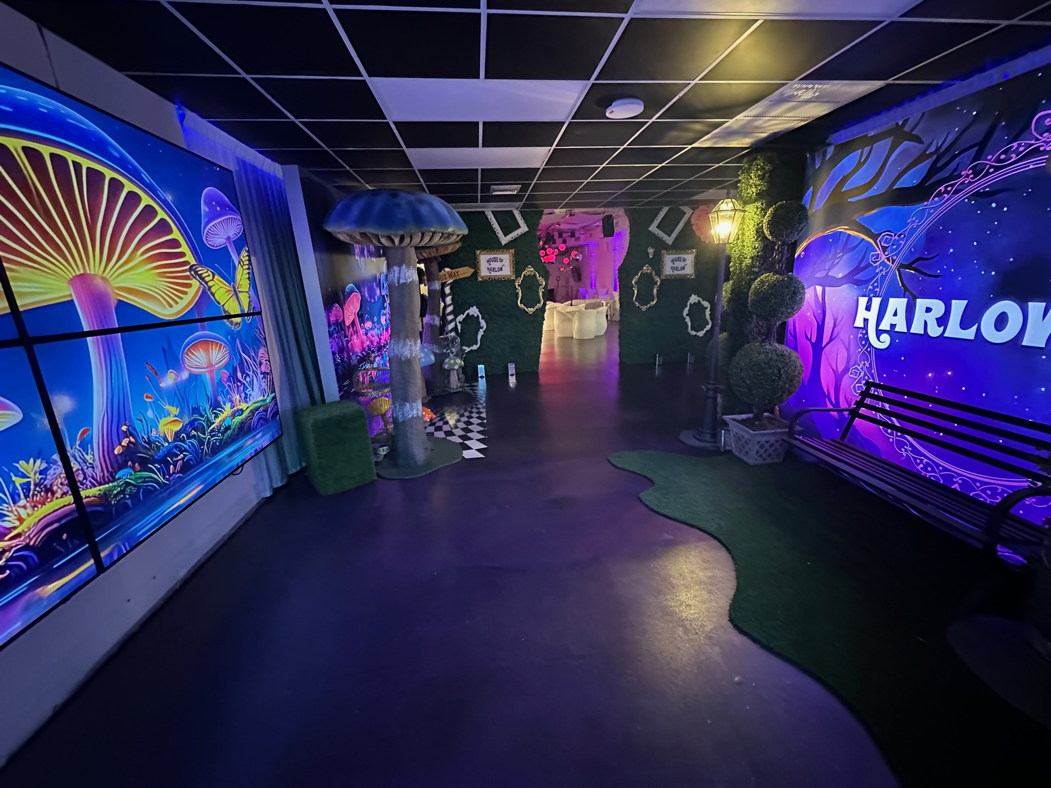Wonderland themed event setup